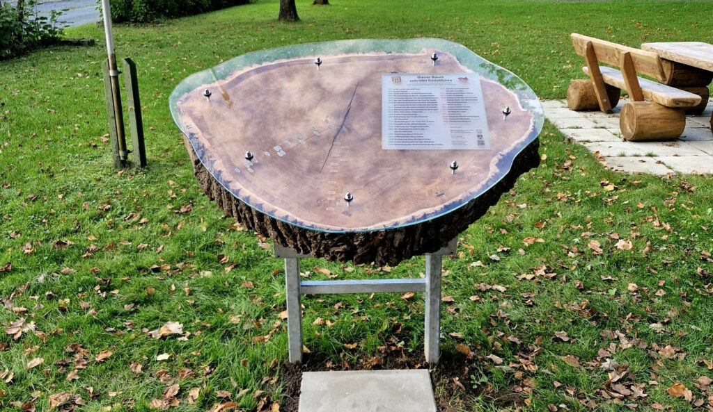 Baumscheibe mit Geschichte